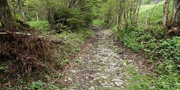 20090518 Vaud Ormond Dessous Le Sepey FRB 93
